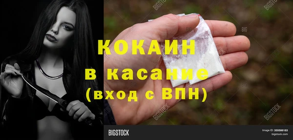 дмт Няндома