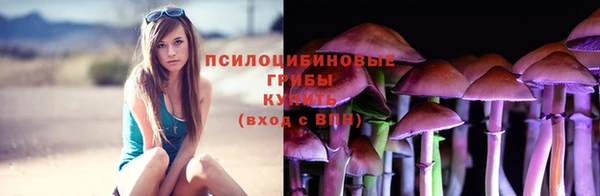 дмт Няндома