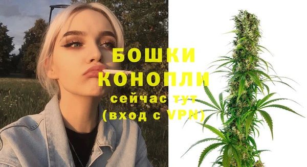 дмт Няндома