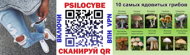 Псилоцибиновые грибы Magic Shrooms  Волоколамск 