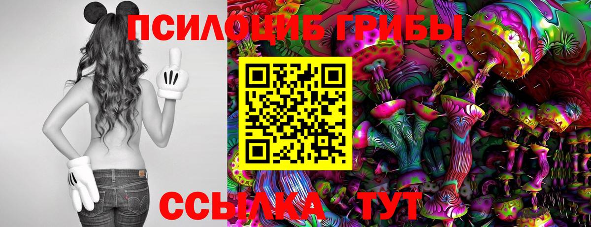 Волоколамск  Галлюциногенные грибы GOLDEN TEACHER  Вход с VPN 