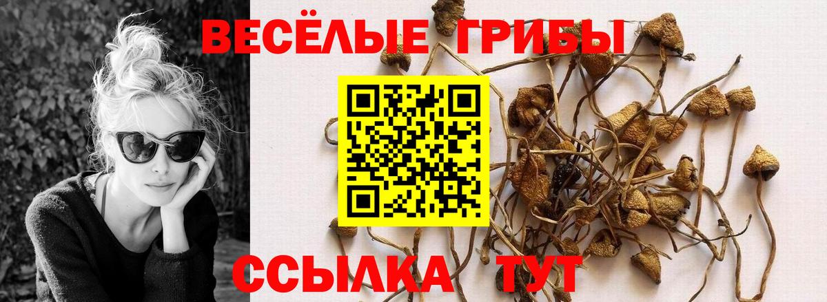 Галлюциногенные грибы Magic Shrooms Волоколамск
